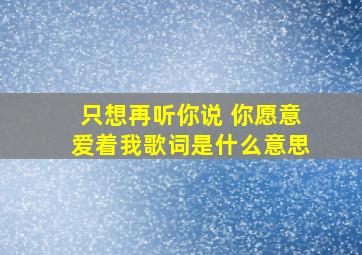 只想再听你说 你愿意爱着我歌词是什么意思